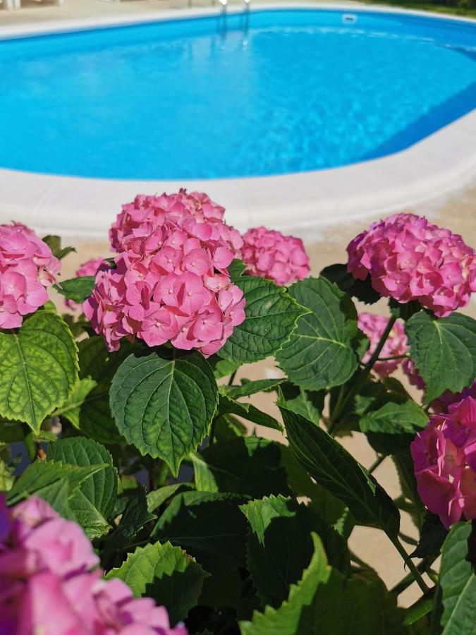Mise Luxury Apartments Kaštela Kültér fotó